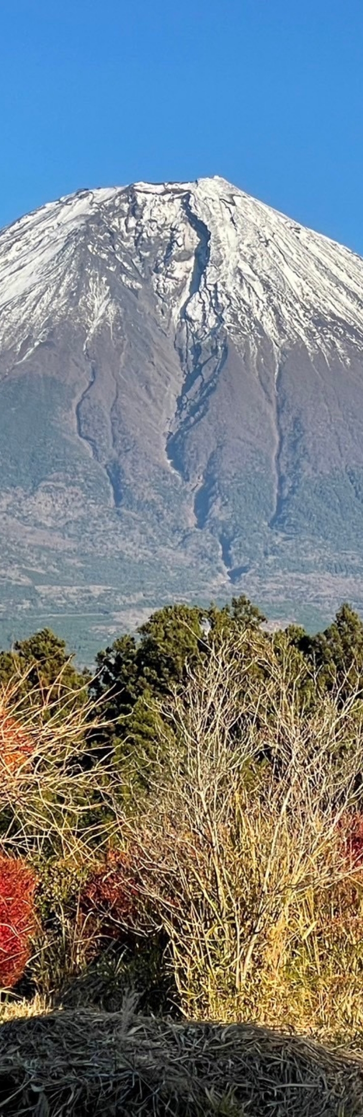 富士山