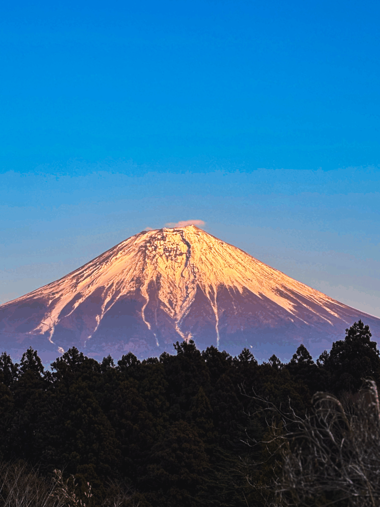 紅富士と赤富士は別物って知ってた？その違いと絶景赤富士が一望できる 